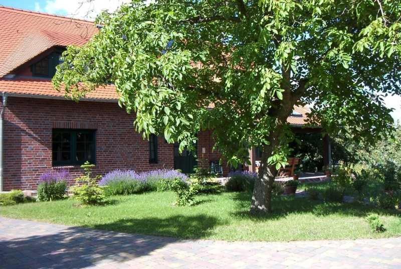 Kraeuter_Landhaus Bad Schmiedeberg Εξωτερικό φωτογραφία